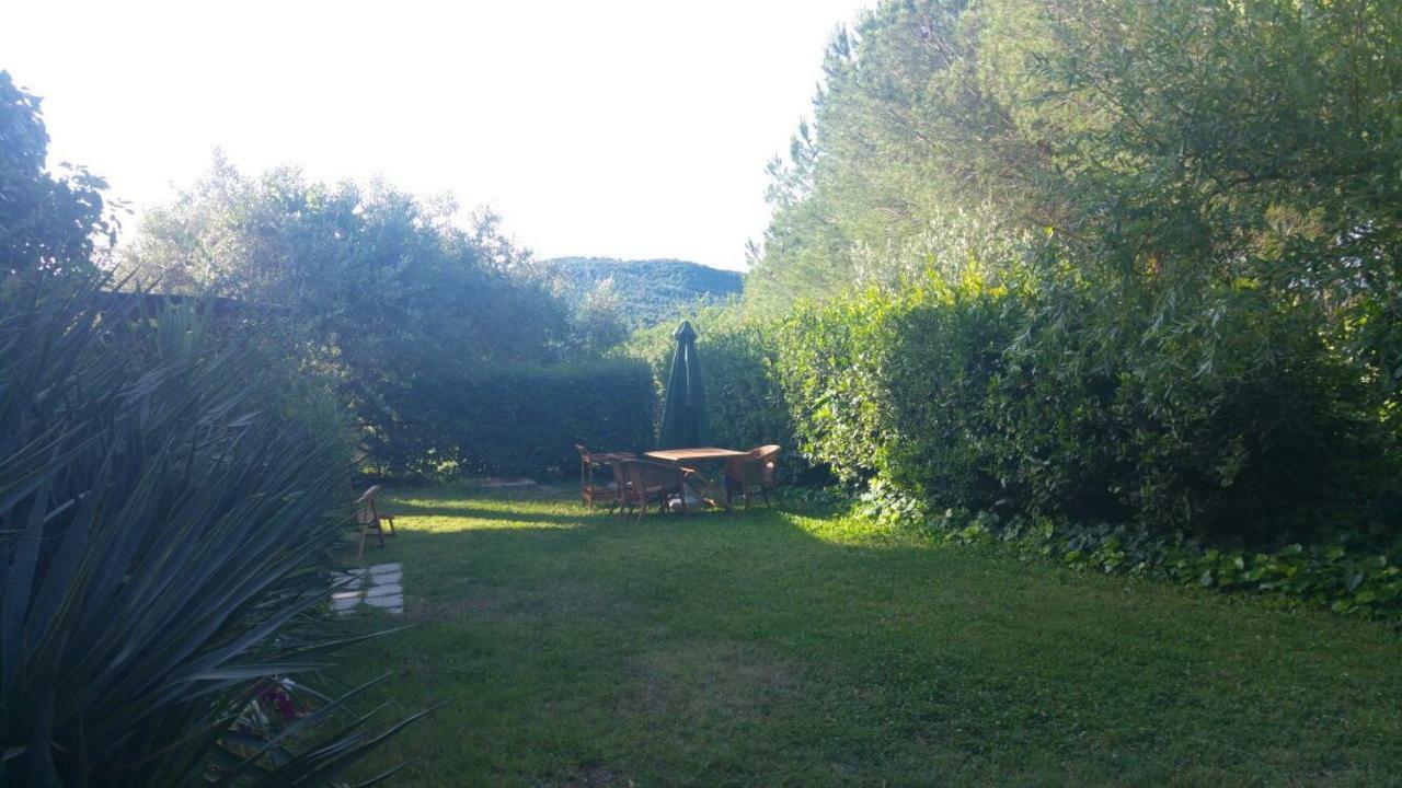 Villa Degli Olmi Allumiere Exteriör bild